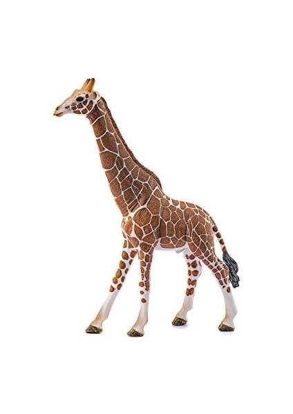 Life-Erkek fiyatları