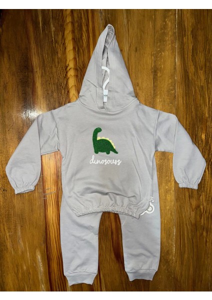 6-24 Aylık Araba Baskılı Takım Gri