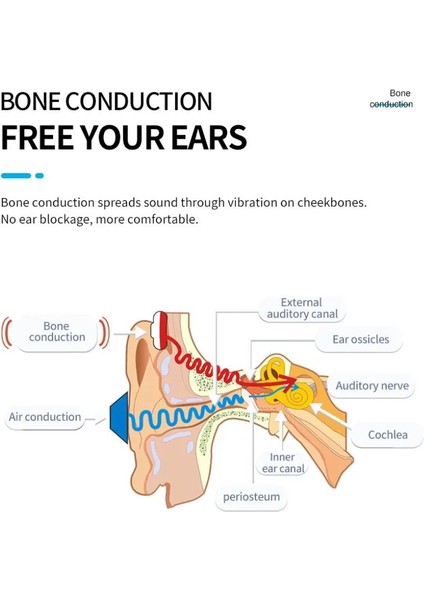 Antrenör Telsizi Pro (Yuzme.com Garantili) fırsatları