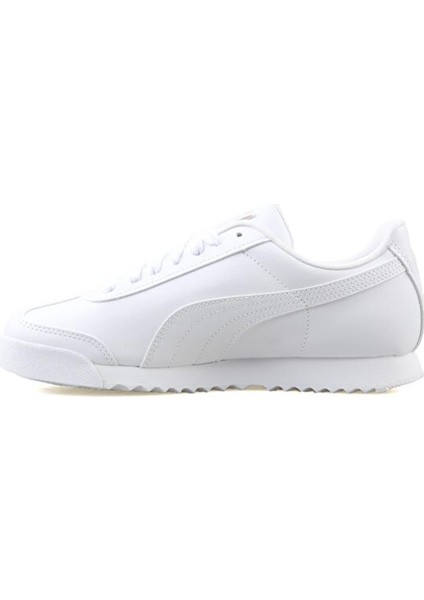 Roma Basic fiyatları