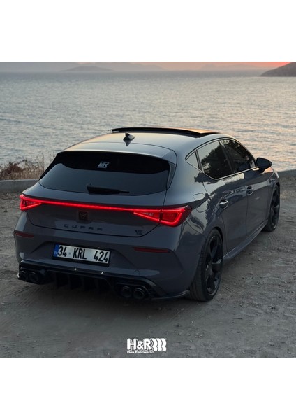Cupra Leon 1.5 Tsi 2020- Sonrası H&r Spor Yay -30MM