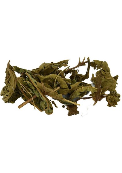 Incir Yaprağı Doğal 100 gr Paket