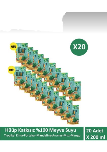 Hüüp Katkısız Karışık Meyve Suyu Elma Portakal Mandalina Ananas Muz Mango 200 ml x 20 Adet