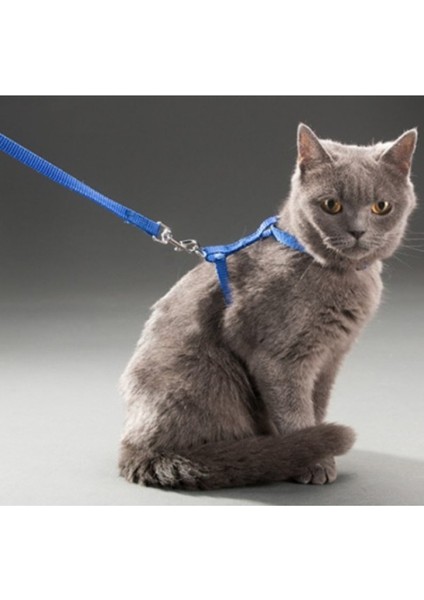 Kediler Için Göğüs ve Boyun Tasması indirimleri