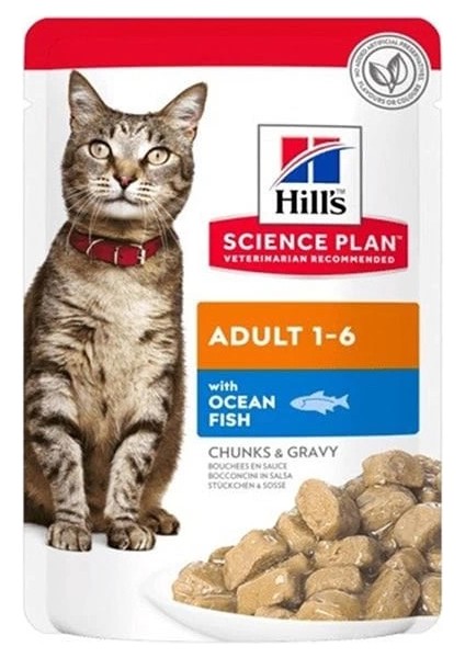 Hills Adult Okyanus Balıklı Pouch Yetişkin Konserve Kedi Maması 85 gr
