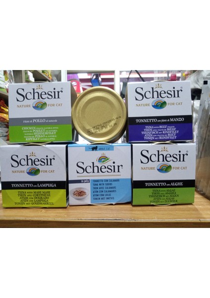 Schesir Okyanus Serisi 6 Al 5 Öde 6X85 gr Konserve Yaş Mama+ Şarjlı Kedi Oyun TOPU+100 Gram Malt fiyatları