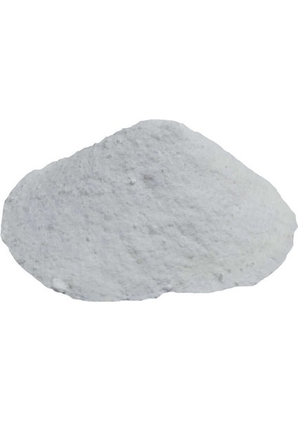 Salça Domates Turşu Koruyucu Toz Salisilik Asit 100 gr Paket