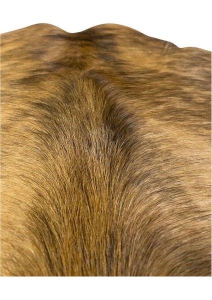 %100 Hakiki Dana Derisi Post Halı – Kahverengi (70X90 Cm)