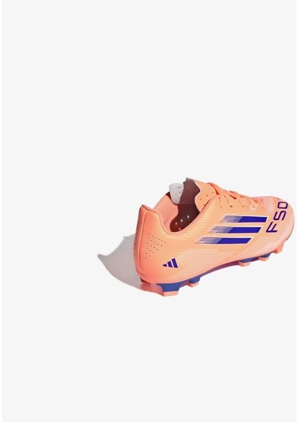 F50 Club Fg/mg J modelleri