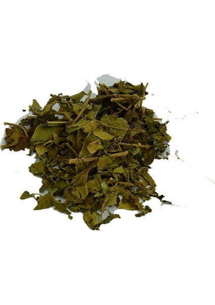 Cinnema Gurmar Otu Gymnema Sylvestr 100 gr Paket