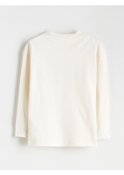 Yeni Sezon Bisiklet Yaka Dinozor Baskılı Erkek Çocuk Sweatshirt fiyatları