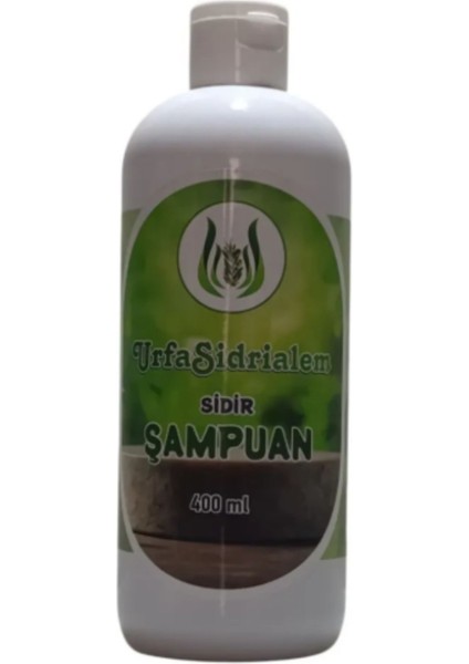 Sidir Özlü Doğal Bitkisel Şampuan – 400 ml | Arındırıcı, Saç Dökülmesini Önleyici & Kepeğe Karşı Etkili