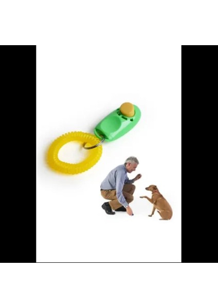 Clicker Köpek Eğitim Aleti