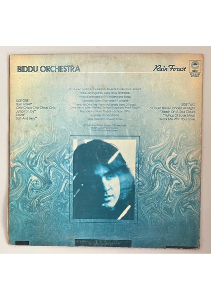 Biddu Orchestra Rain Forest Lp Plak (Orijinal 1976 Dönem Türk Baskı Plak) fiyatları
