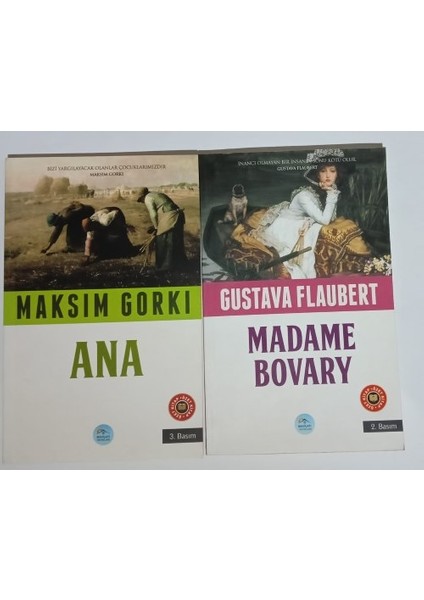 Ana -Özet-Ve Madam Bovary -Özet-Maviçatı