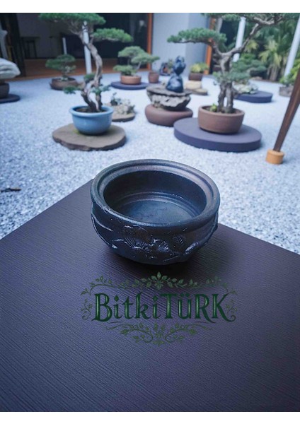 Çiçek Kabartmalı Beton Saksı Bonsai&çiçek fiyatları