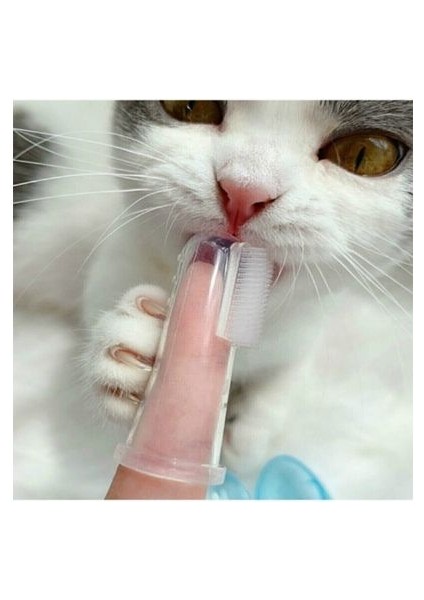 Köpekler Için Diş Fırçası Temizleme Aleti fırsatları