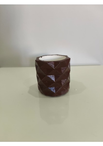 Geometrik Kaktüs Skulent Saksısı - Dekoratif Ev Aksesuarı