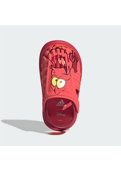 Water Sandal Sebastıan I fiyatları