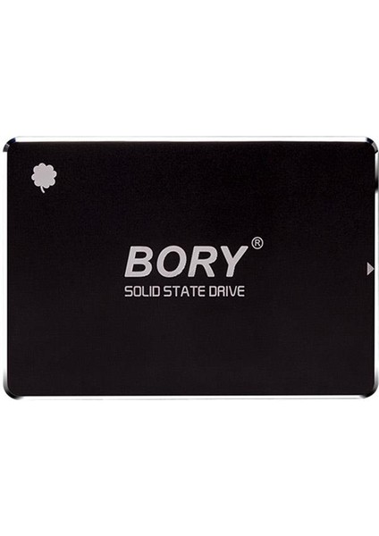 1 Tb Bory Sata3 R500-C1T SSD 550/510 Mbs (3 Yıl Garantili) modelleri