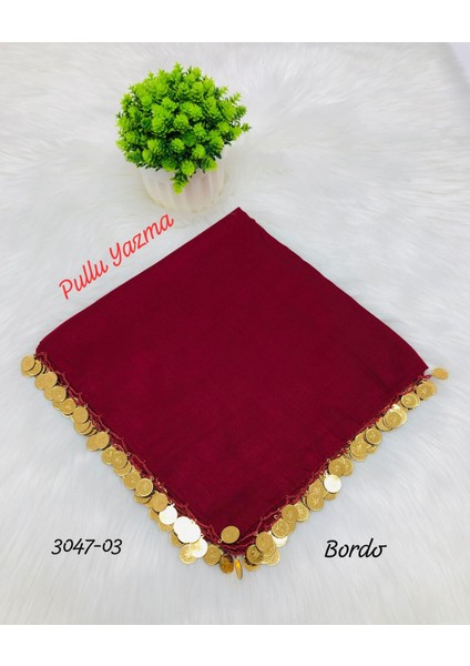 3047 Pleksi Pullu Yazma