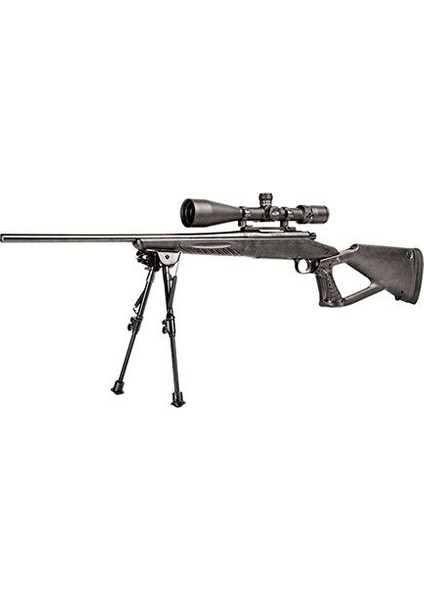 Sportster Çatal Ayak (9 - 13 Inç / 22 - 23 Cm)