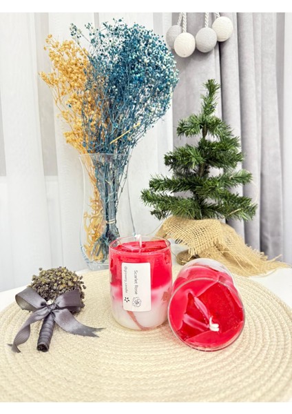 Scarlet Rose Mum fiyatları