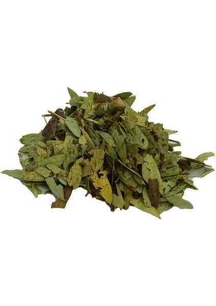 Sinameki Yaprağı Doğal 100 gr Paket