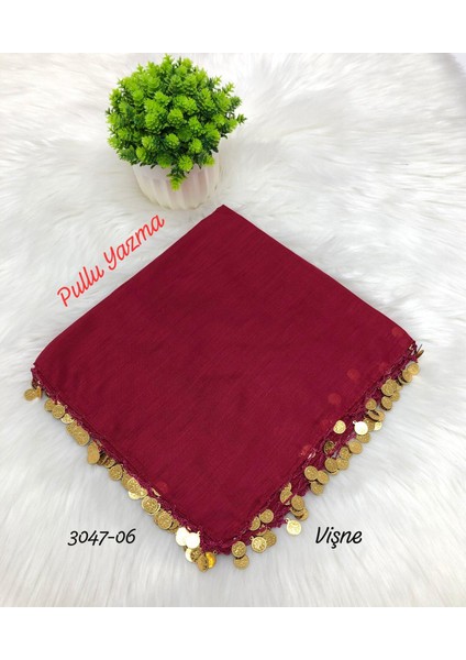 3047 Pleksi Pullu Yazma