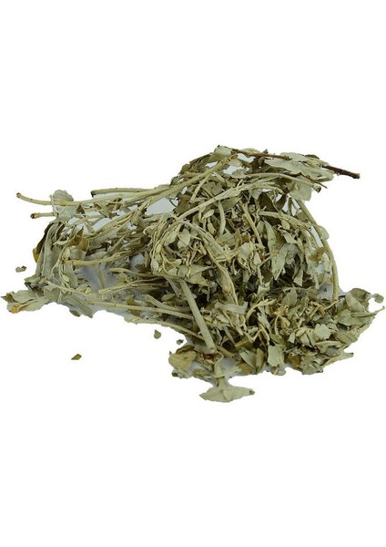 Iğde Yaprağı Doğal 100 gr Paket