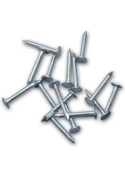 Şıngıl Çivisi 2,5 kg