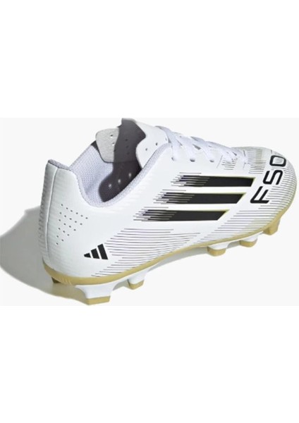 F50 Club Fg/mg J modelleri