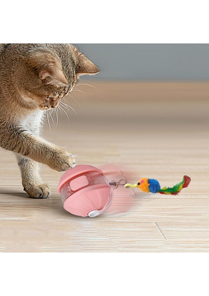 Kediler Için Top Hareketli Şarjlı Oyuncak