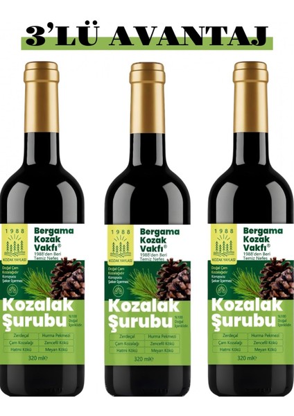 Bergama Vakfı Kozalak Şurubu 3X320 ml