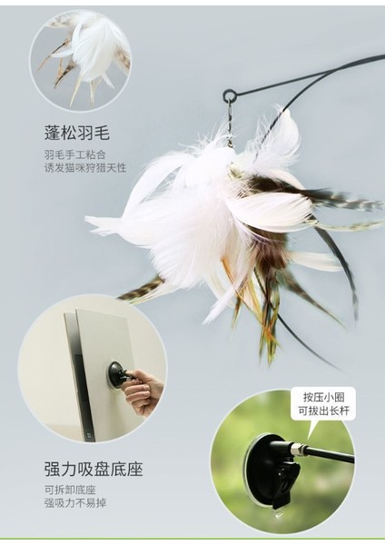 Kediler Için Oyun Oltası Zilli Tüylü Vantuzlu Oyuncak modelleri