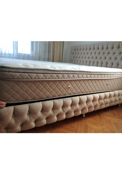 Zarif Seti Baza ve Başlık