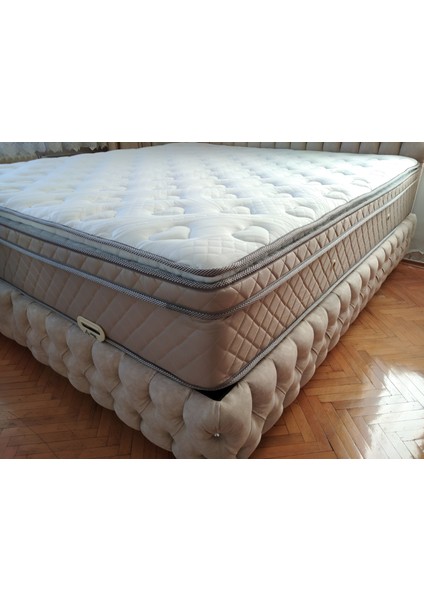 Zarif Seti Baza ve Başlık modelleri