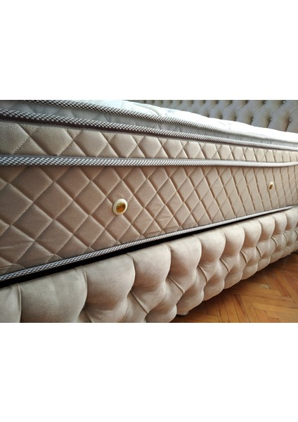 Zarif Seti Baza ve Başlık fırsatları