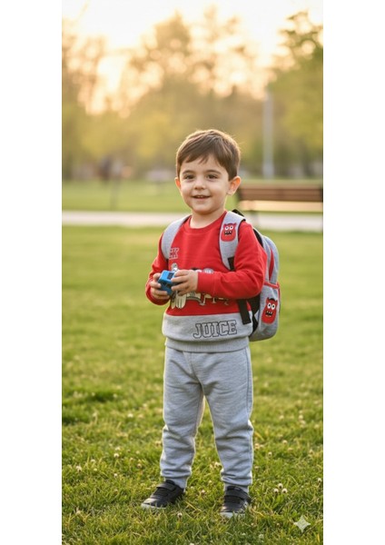 1-4 Yaş Bebek Çocuk Günlük 2’li Mevsimlik Takım |sweatshirt ve Pantolon Kombini Rahat ve Şık Tasarım indirimleri