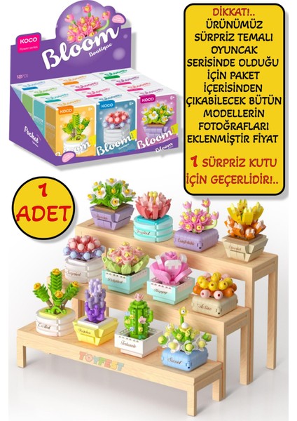 Sürpriz Saksı Çiçekleri Sukulent Serisi 3D Puzzle - 1 Adet