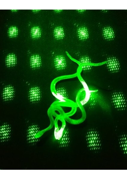 Şaka Yılan ve Kırkayak Karışık 36 Adet modelleri