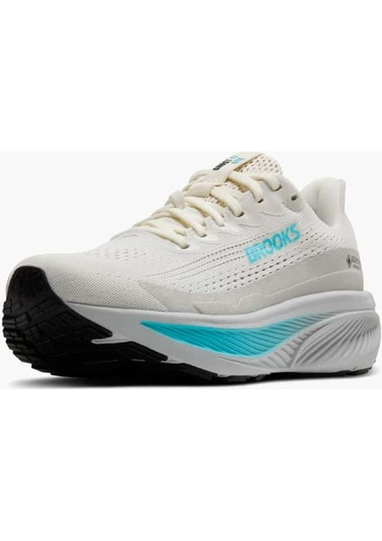 Ghost 17 Gtx Kadın Koşu Ayakkabısı fırsatları