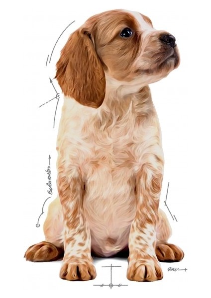 Orta Irklar için Yavru Yaş Köpek Maması 10 x 140g