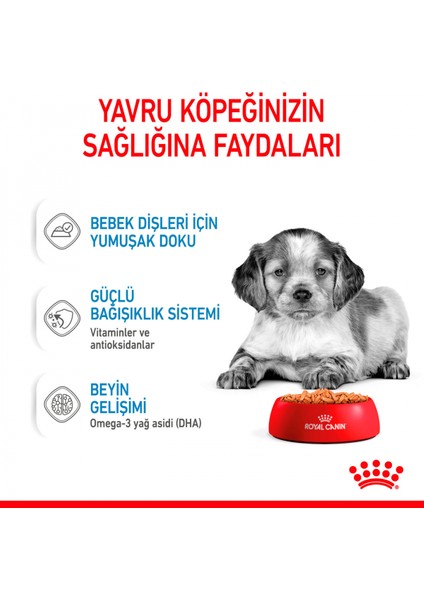 Orta Irklar için Yavru Yaş Köpek Maması 10 x 140g
