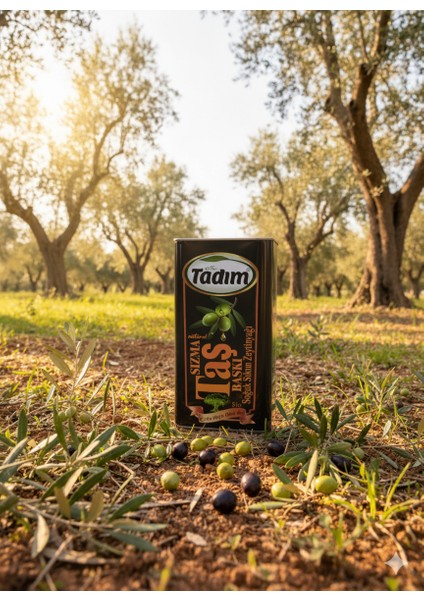 Öz Tadım Taş Baskı Zeytinyağı 5l fiyatları