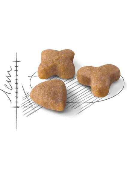 Sensible33 Sindirim Hassasiyeti Olan Kediler Için Yetişkin Kuru K