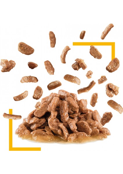 Sensory Tat Duyusu için Sos İçerisinde Yaş Kedi Maması 12 x 85g