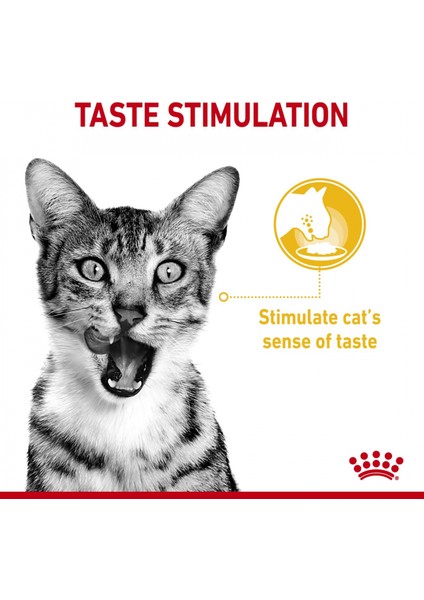 Sensory Tat Duyusu için Sos İçerisinde Yaş Kedi Maması 12 x 85g