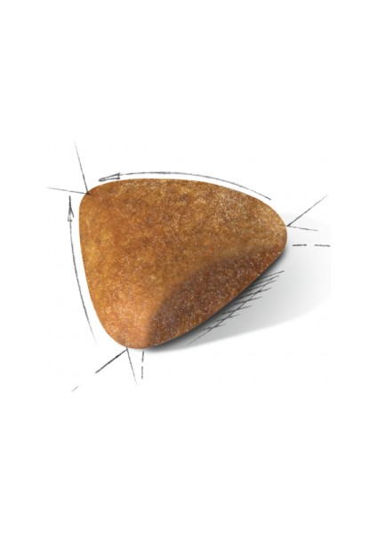 Sfenks Için Yetişkin Kuru Kedi Maması 2kg