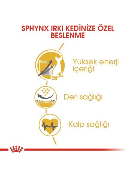 Sfenks Için Yetişkin Kuru Kedi Maması 2kg